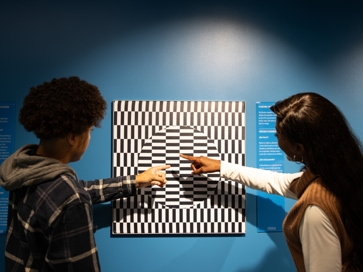 images exhibits gallery1 moi Durban 1200x900 1