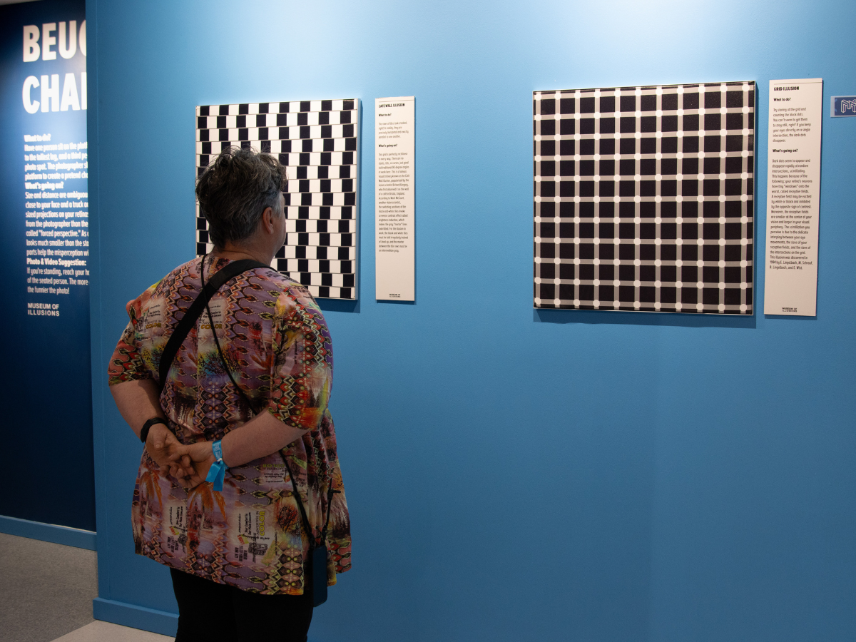 images exhibits gallery2 moi Durban 1200x900 1