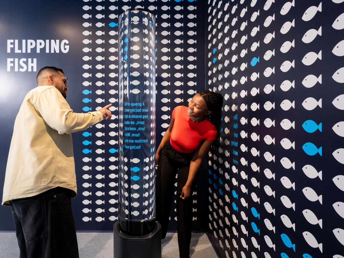 installations exhibits gallery3 moi Durban 1200x900 1